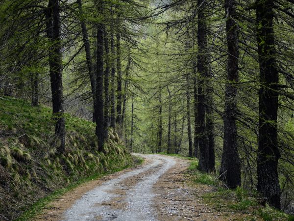 Colle Delle Finestre