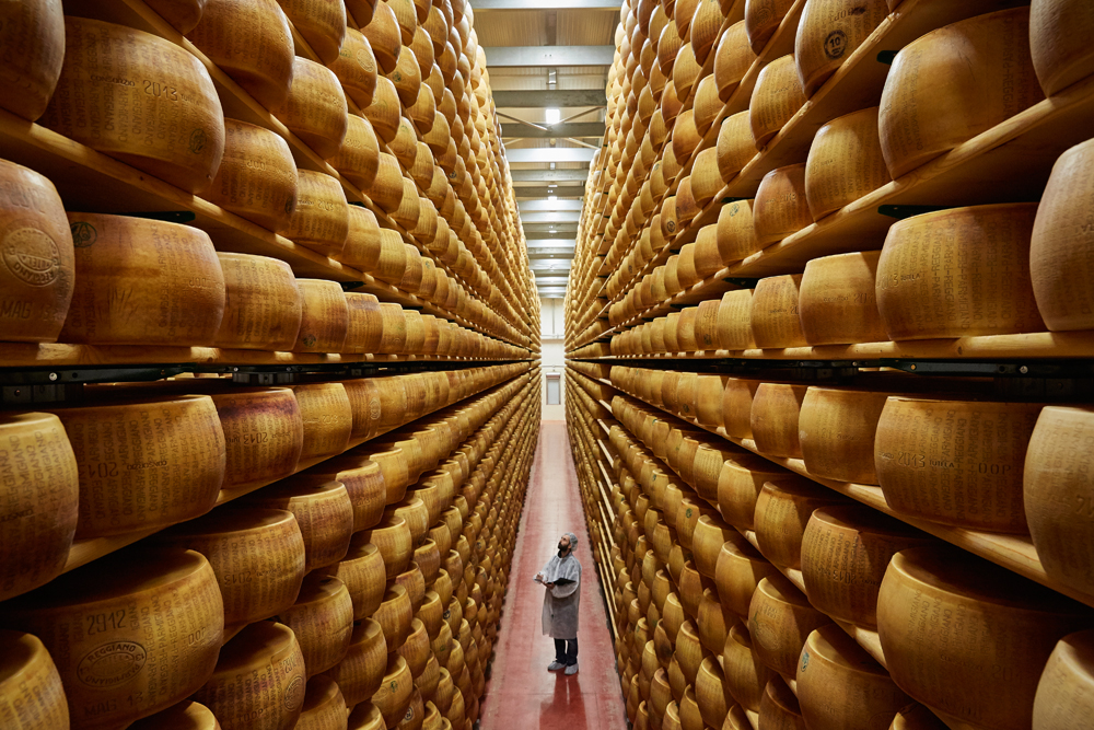 Parmesan Cheese Manufacturing