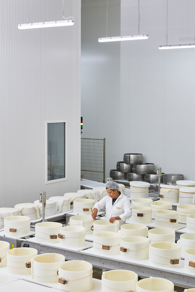 Parmesan Cheese Manufacturing