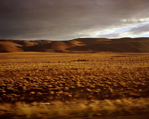Patagonia Landscape