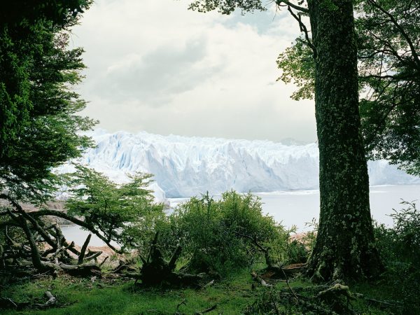Glacier Argentina Landscape