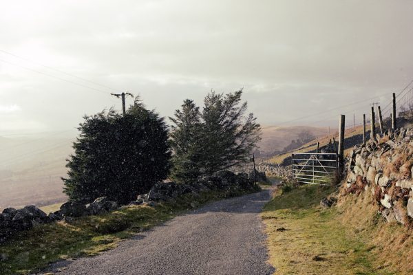 Snowdonia Landscape